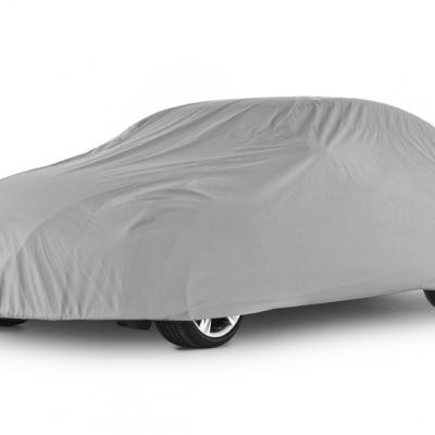 2013-03 CarCover01